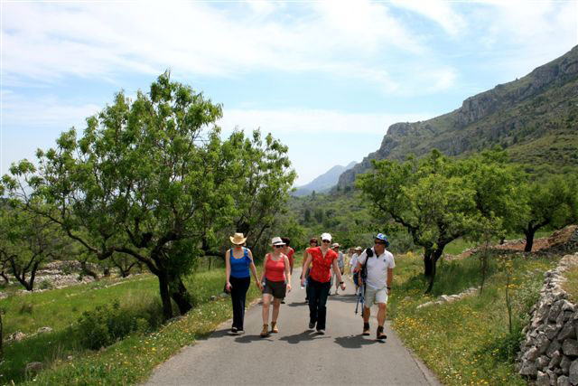 Yoga holiday hiking